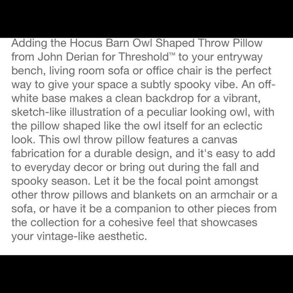 John Derian Barn Owl Pillow - Picture 4 of 5